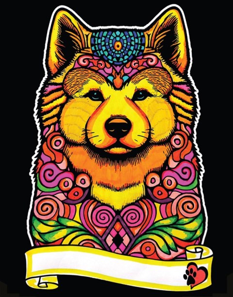 Kolorowanka Welwetowa A4 Akita inu Kolorowanka Welwetowa A4 Akita inu