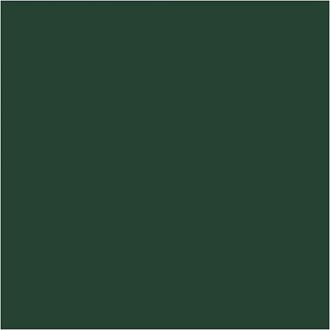 Farba PLUS Color 60 ml Ciemna Zieleń Farba PLUS Color 60 ml Ciemna Zieleń