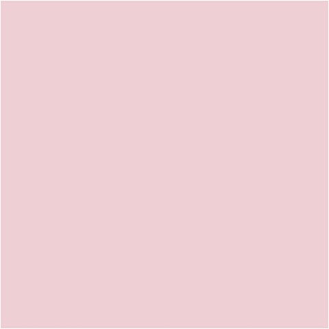 Farba PLUS Color 60 ml Delikatny Róż Farba PLUS Color 60 ml Delikatny Róż