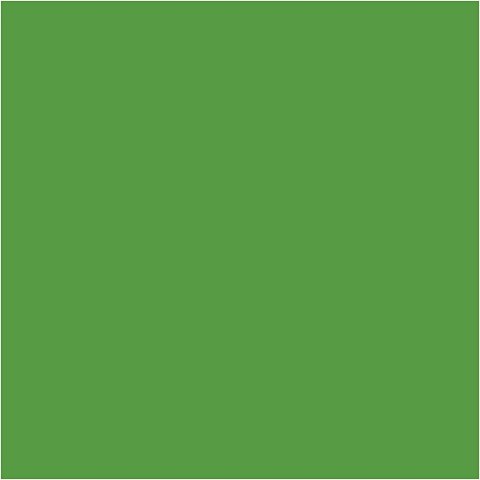 Farba PLUS Color 60 ml Intensywna Zieleń Farba PLUS Color 60 ml Intensywna Zieleń