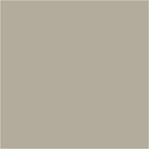 Farba PLUS Color 60 ml Kamienny Beż Farba PLUS Color 60 ml Kamienny Beż
