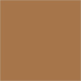 Farba PLUS Color 60 ml Sjena Surowa