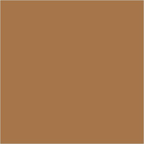 Farba PLUS Color 60 ml Sjena Surowa Farba PLUS Color 60 ml Sjena Surowa