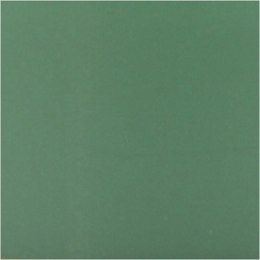 Farba PLUS Color 60 ml Zieleń Lasu